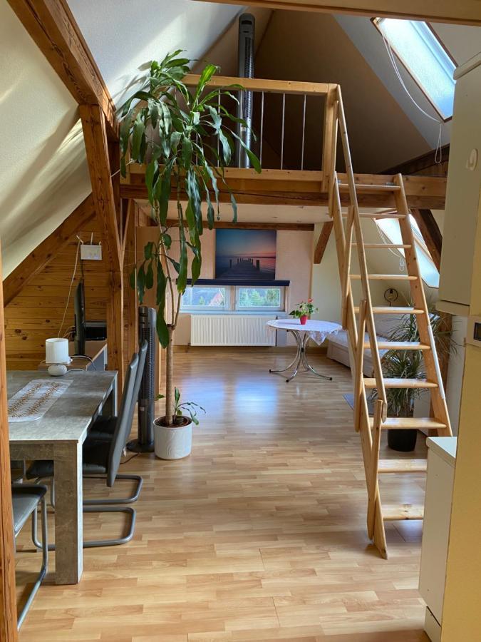 Helles Und Charmantes Loft Mit Herrlichem Blick เดรสเดน ภายนอก รูปภาพ