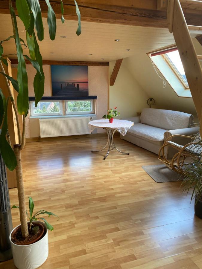 Helles Und Charmantes Loft Mit Herrlichem Blick เดรสเดน ภายนอก รูปภาพ