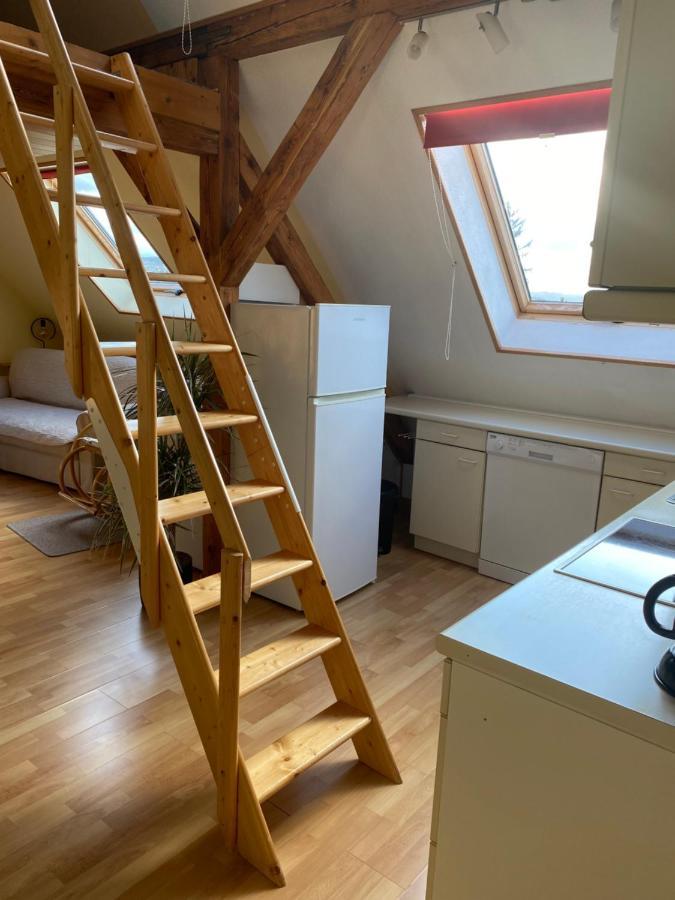 Helles Und Charmantes Loft Mit Herrlichem Blick เดรสเดน ภายนอก รูปภาพ