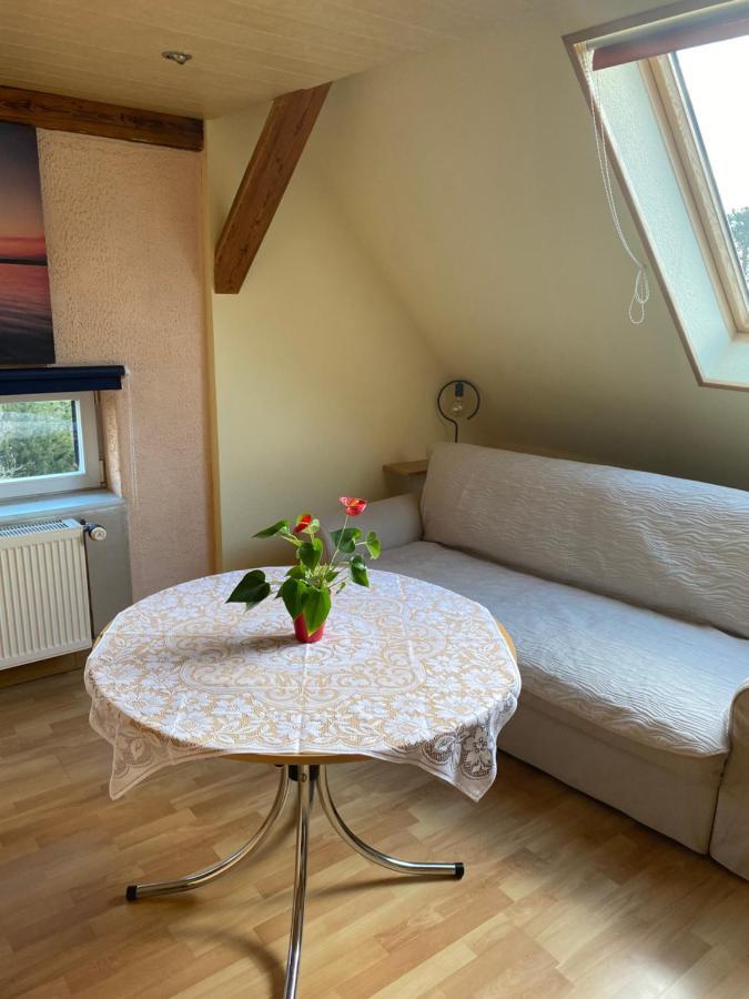 Helles Und Charmantes Loft Mit Herrlichem Blick เดรสเดน ภายนอก รูปภาพ