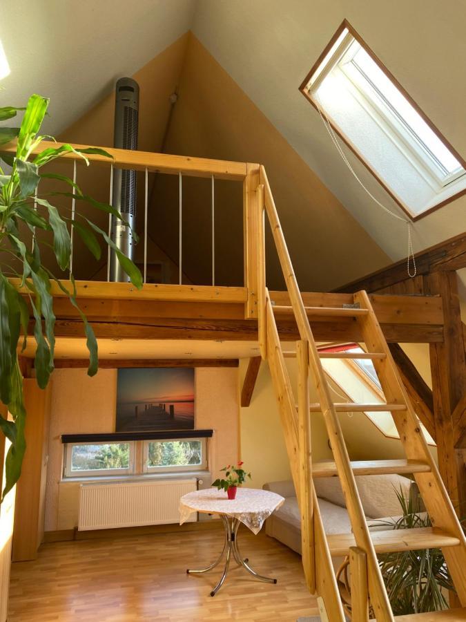 Helles Und Charmantes Loft Mit Herrlichem Blick เดรสเดน ภายนอก รูปภาพ