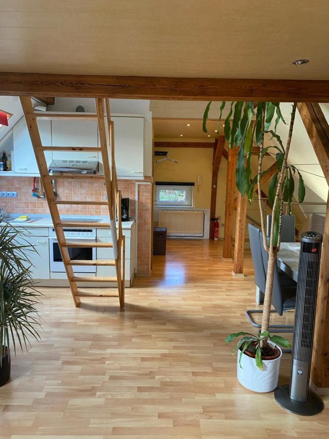 Helles Und Charmantes Loft Mit Herrlichem Blick เดรสเดน ภายนอก รูปภาพ